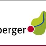 Nürnberger Land Logo