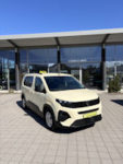 Barrierefreie Taxis – wirtschaftlich denken + inklusiv handeln