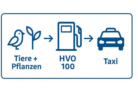 HVO 100 Symbole