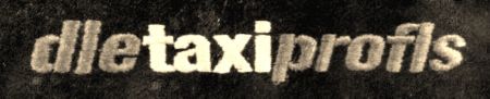 Die Taxiprofis (Logo)